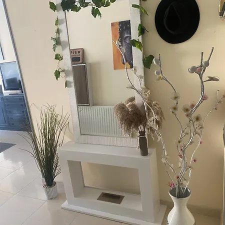 Climatise + Garage Apartment Roses